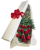 Roses in a flat box