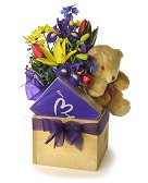 Little Bear with a BIG Surprise