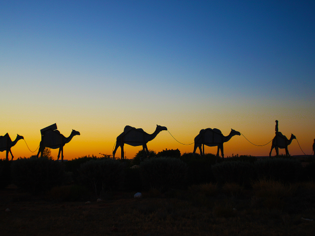 Hold On To Your Humps! Introducing the Outback-tastic New Adventure of The Year