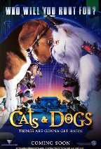 Cats & Dogs