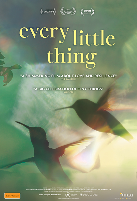 Win Every Little Thing Tickets