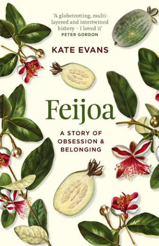 Feijoa by Kate Evans