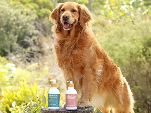 Outback Tails Natural Dog Grooming Range Review