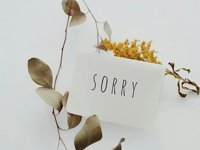 How To Make The Perfect Apology