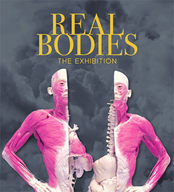 Real Human Bodies Exhibition Tickets