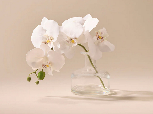 Rogue's Faux Phalaenopsis Orchid in white with Vase