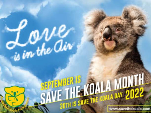 Save the Koala Month