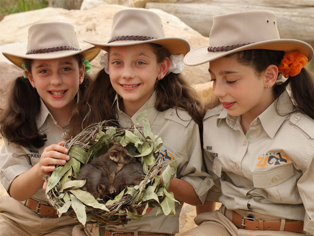 Sydney Zoo Mini Zookeepers