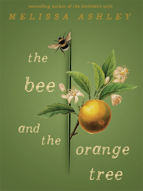 The Bee and the Orange Tree